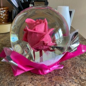 Meet your Posher, Jenny